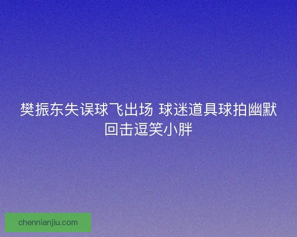 樊振东失误球飞出场 球迷道具球拍幽默回击逗笑小胖