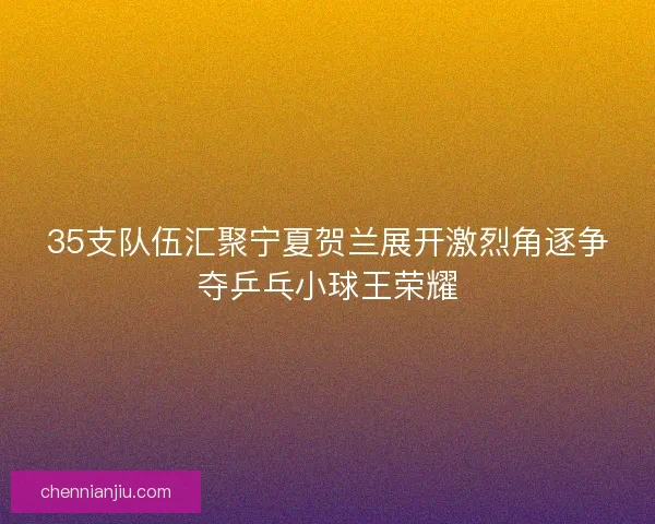 35支队伍汇聚宁夏贺兰展开激烈角逐争夺乒乓小球王荣耀